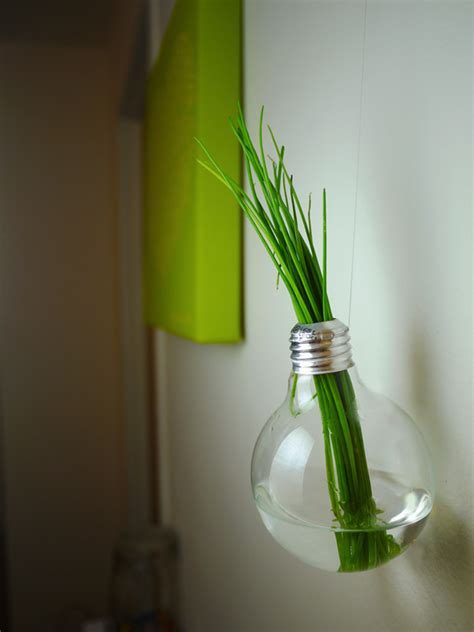 Diy Light Bulb Vase Lightingupbubbles