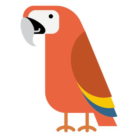 Ilustración De Pájaro Loro Guacamayo Descargar Pngsvg Transparente