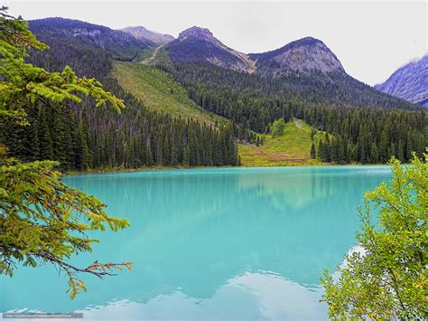 Descargar Gratis Emerald Lake Montañas Rocosas Canadá Fondos De
