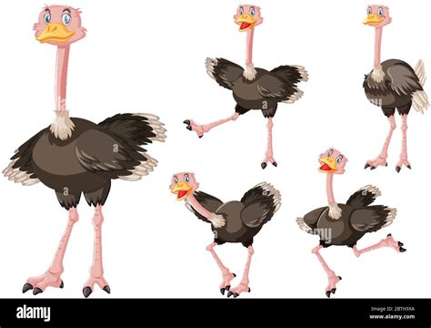 Cute Ostrich Cartoon Character Illustration Stock Vector Image And Art