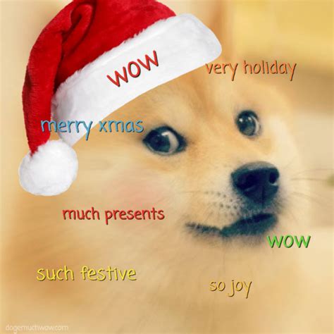 Doge Much Wow Very Meeting Such Pleasure Wow