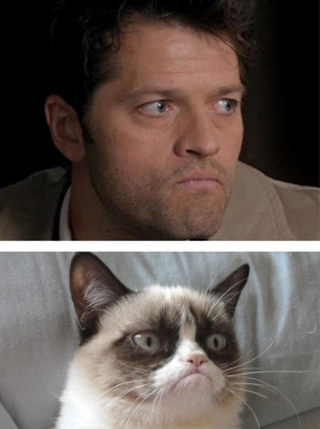 Omg Cas Totally Looks Like Grumpy Cat Grumpy Cat Cat Memes Funny
