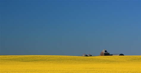 Wallpaper Landscape Hill Sky Field Yellow Farm Horizon Steppe