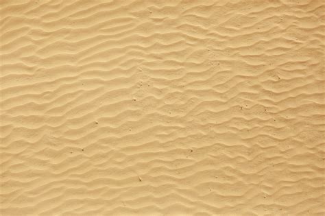 Sand can be found on the surface of deserts, rivers, beaches, or from the majority of chests found within desert temples. The meaning and symbolism of the word - «Sand»