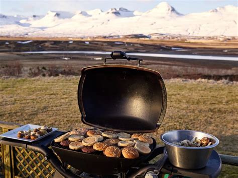 9 Best Portable Rv Grills For Cooking And Camping Bugn Out Rvn