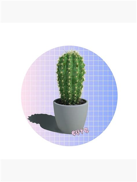 Aesthetic Cactus Poster By Coolni1 Redbubble