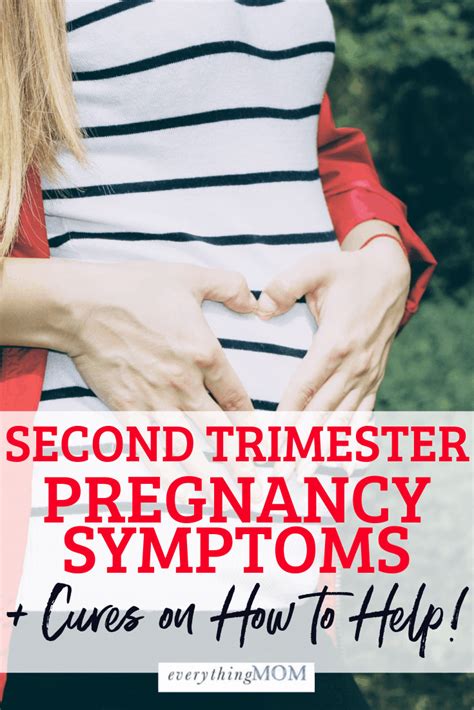 Second Trimester Pregnancy Symptoms And Cures Everythingmom