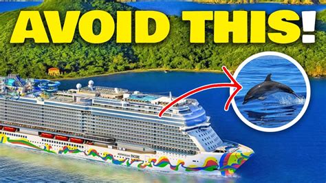 12 Cruise Ship Shore Excursions You Should Skip Youtube
