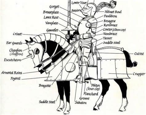 Barding Wiki Modern Medieval Amino