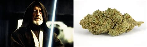 7 Variétés De Weed Pour Les Fans De Star Wars Purkif Premium