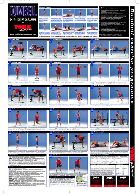 Dumbbell exercises provide an easy and effective way of targeting every major muscle groups in your body. Printable Dumbbell Exercises Pdf | Template Business PSD ...
