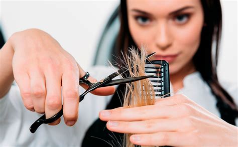 Профессия парикмахер описание профессии где учиться работать плюсы
