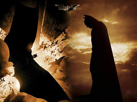 Batman Begins | Batman cape, Batman, Batman begins