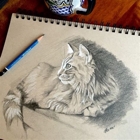 Animal Sketches Animal Drawings Drawing Lessons Medium Art Tailed