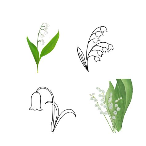 Lily Of The Valley Svg Masterbundles