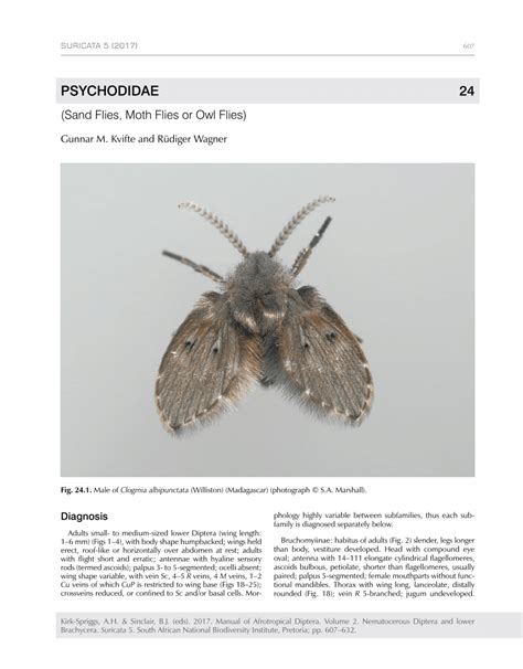 Pdf Psychodidae Sand Flies Moth Flies Or Owl Flies