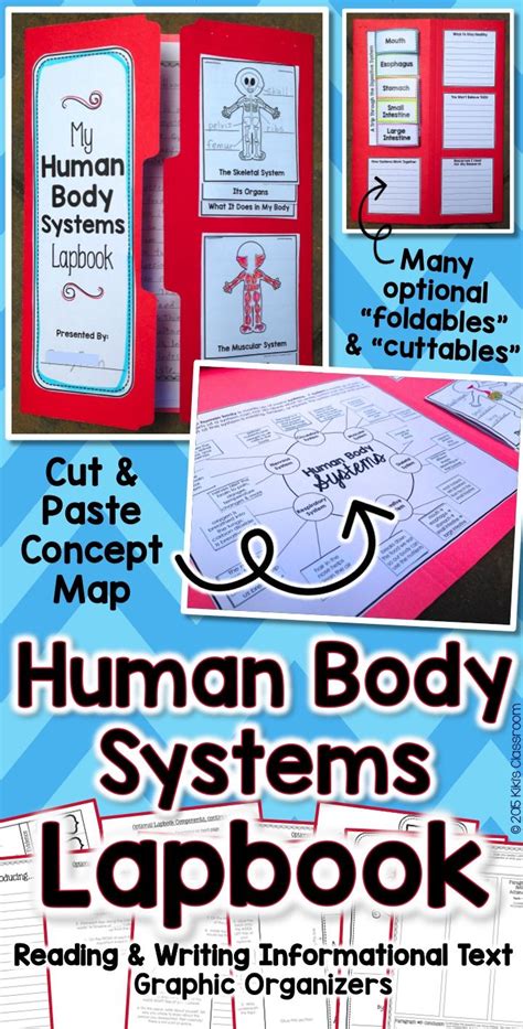 Human Body • Body Systems • Informational Text • Lapbook • Great Little