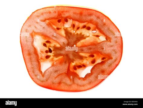 Tomato Solanum Lycopersicum Cross Section Stock Photo Alamy