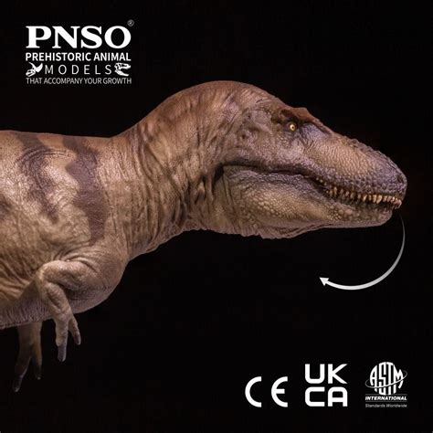 DASPLETOSAURUS By PNSO JURASSIC PARK WORLD DINOSAUR Hobbies Toys