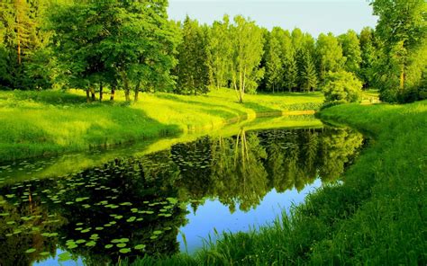Reflection Trees Nature Greenery River Wallpapers Hd Desktop And
