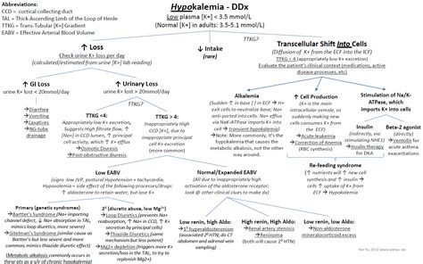 Causes Of Hypokalemia Differential Diagnosis Algorithm Increased