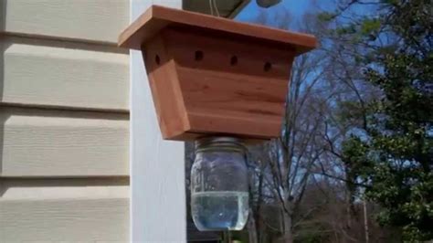 Setting Up A Carpenter Bee Trap Youtube