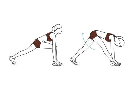 Quick Full Body Stretching Routine 6 Moves To Try