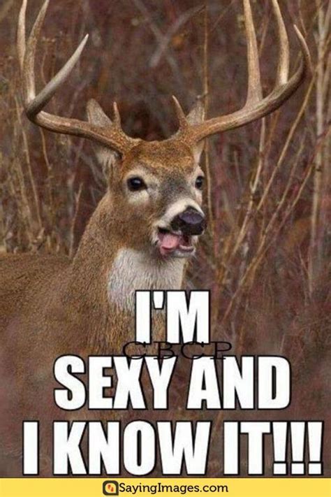 The 20 Best Deer Hunting Memes So Far Deer