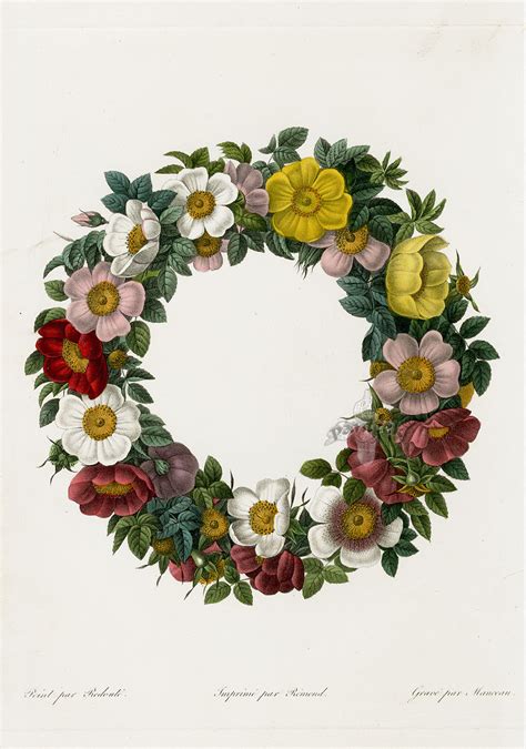 Et cela, aussi bien du côté du neuf que des produits redoute roses occasion. P. J. Redoute Les Roses Prints 1828