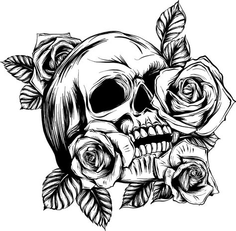A Human Skulls With Roses On White Background 2 Digital Art By Dean