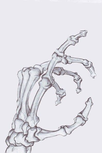 Skeleton Hand Bone Drawing Human Anatomy Drawing Anatomy Sketches