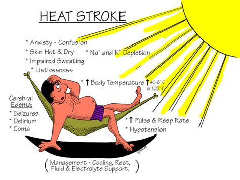 The 10 Most Common Signs And Symptoms Of Heatstroke Daily Health Post