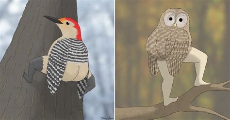 artist draws birds with butts after internet says they are not realistic enough 9gag