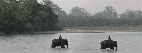 Chitwan Jungle Safari Tour Himalaya Thunder Treks