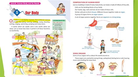 Our Body Class 3 Part 1 Youtube