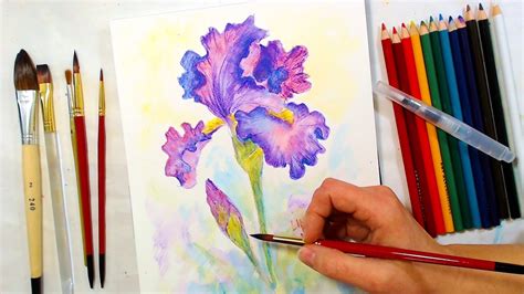 Painting the pigment directly on the brush works just like watercolor paints. Iris Watercolor Pencil Drawing and Painting Tutorial ...