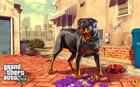 Rottweiler Gta 5 Animals How To Play And Where To Find