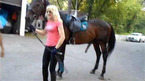 Ein Frecher Reithengst 6 J Pferd Für Freizeitreiten Youtube
