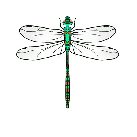 Dragonflys Hd Transparent Green Realistic Dragonfly Clip Art Clipart