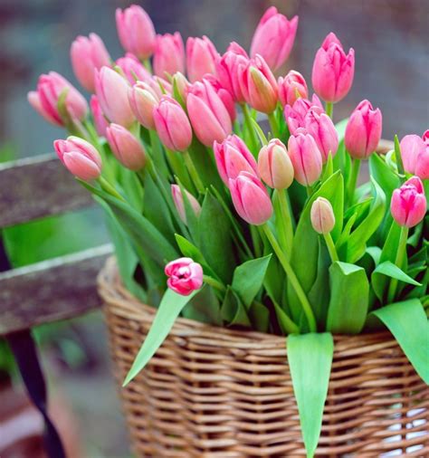 Spring Flower Arrangement Ideas From Your Yard