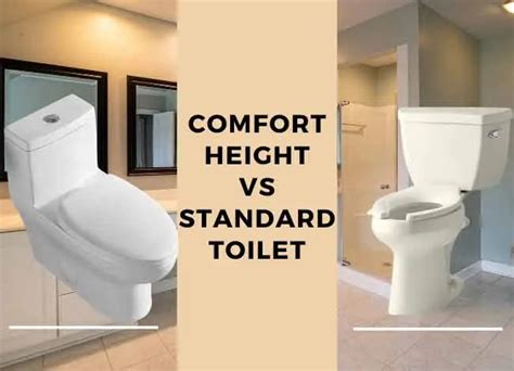 Comfort Height Vs Standard Height Toilet Find Property To Rent