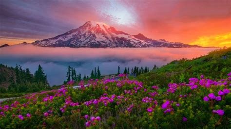 Mountain Landscape Spring Sunset Snowy Mountain Meadow