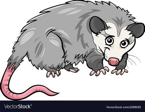 Opossum Animal Cartoon Royalty Free Vector Image