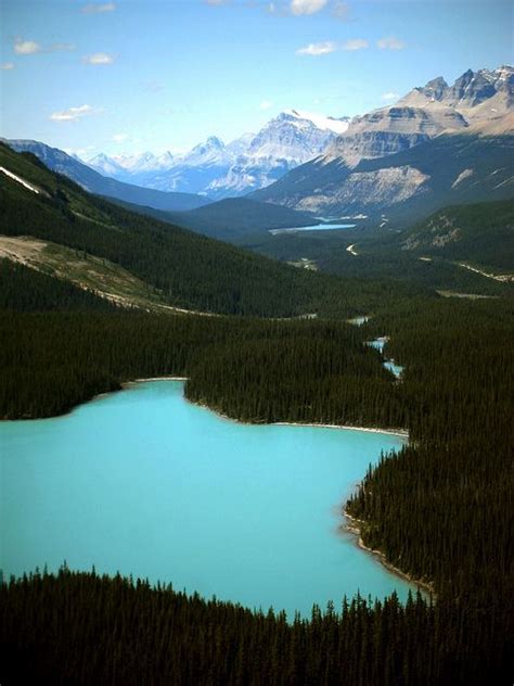 Peyto Lake Banff Np Alberta Canada So Proud To Live Near Such