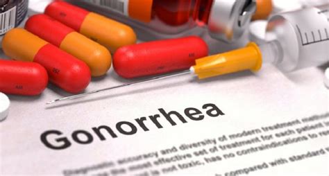 Untreatable Gonorrhoea 5 Facts You Should Know WiredBugs