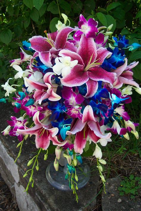 artificial blue orchids dendrobiums can you help me find blue purple dendrobium orchids pl