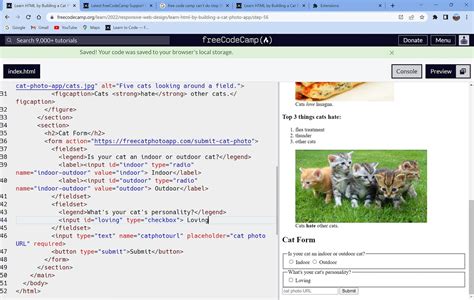 Learn Html By Bulding A Cat Photo App Step Freecodecamp Support