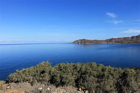 Corsican Maquis Island Free Photo On Pixabay Pixabay