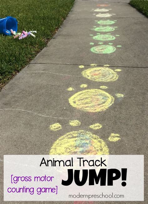 Outdoor Gross Motor Animal Track Game Pets Preschool Zoo Activities