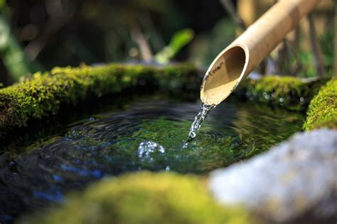 Um 612 hat ein koreaner namens shikomaro (was so viel wie hässlicher maro bedeutet) in japan berühmtheit erlangt, weil er eindrucksvolle gärten gestaltet. Zen-Garten auf dem Balkon » So schaffen Sie Harmonie